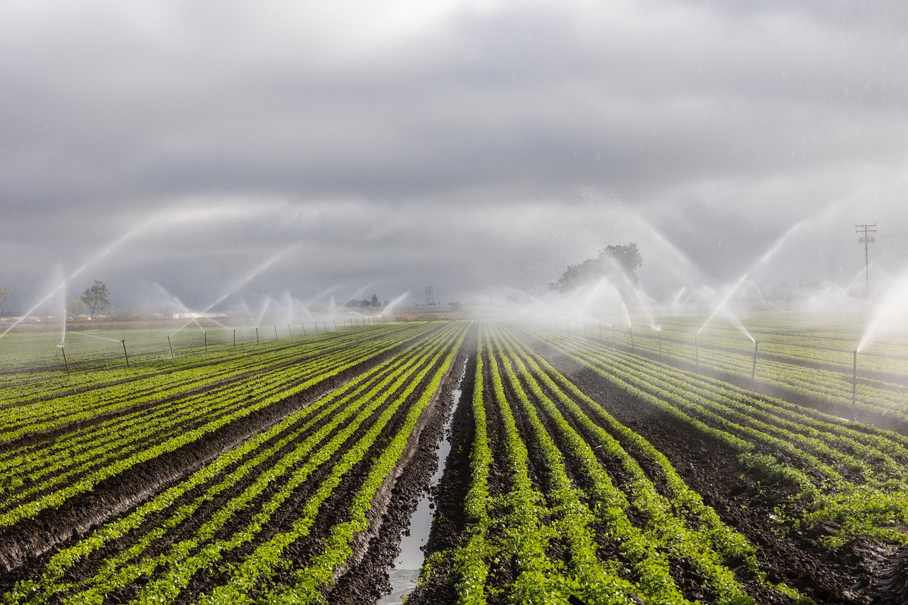 Rinnovabili • Forum Acqua, l’impronta idrica dell’agricoltura