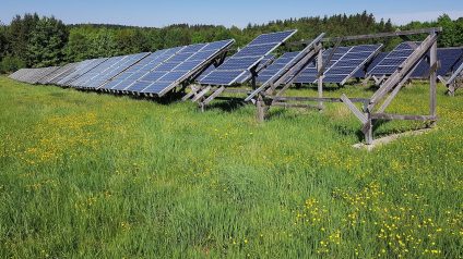 Rinnovabili • Quando si può parlare di fotovoltaico a impatto positivo per la natura?