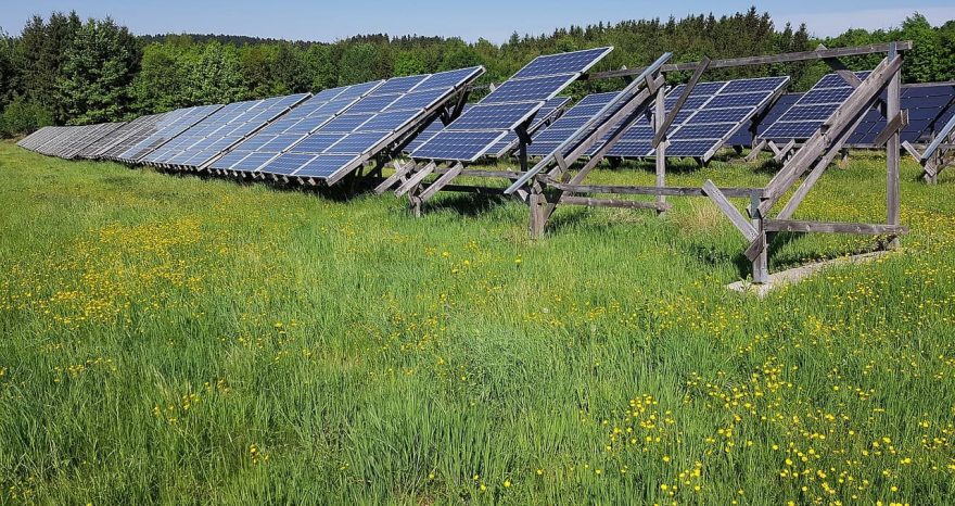 Rinnovabili • Quando si può parlare di fotovoltaico a impatto positivo per la natura?