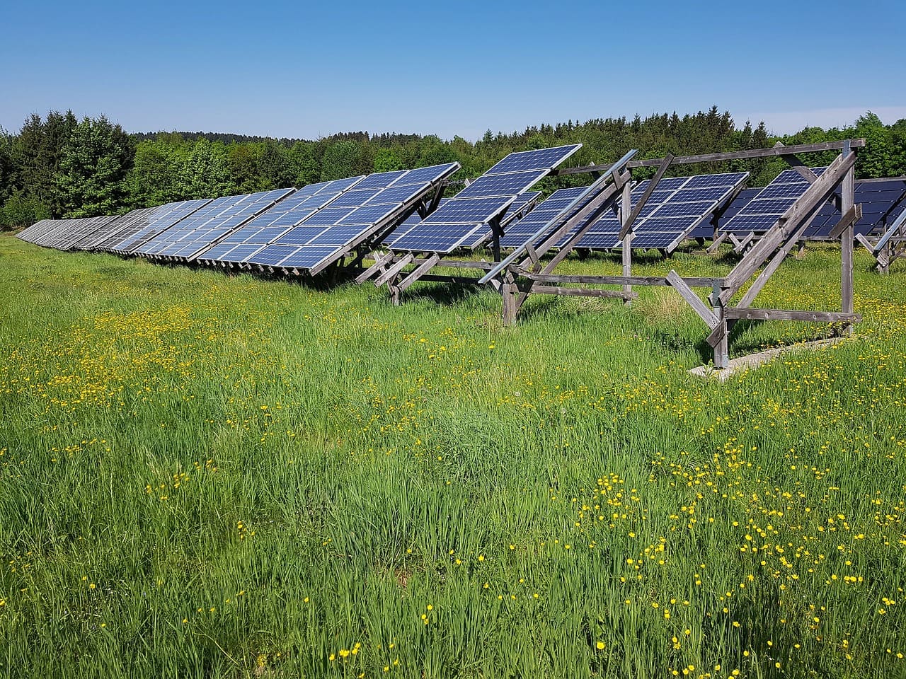 Rinnovabili • Quando si può parlare di fotovoltaico a impatto positivo per la natura?