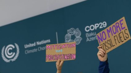 Rinnovabili • COP29 riduzione emissioni gas serra: i risultati della conferenza sul clima